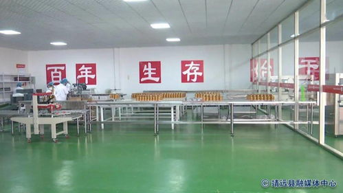 郑钰调研金三角生态农业科技创业园 聚焦企业发展，赋能产业升级