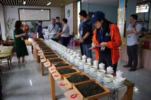 平昌县第二届‘国际茶日’青芽茶杯手工制茶主题活动暨名优特产品营销活动今日盛大启幕